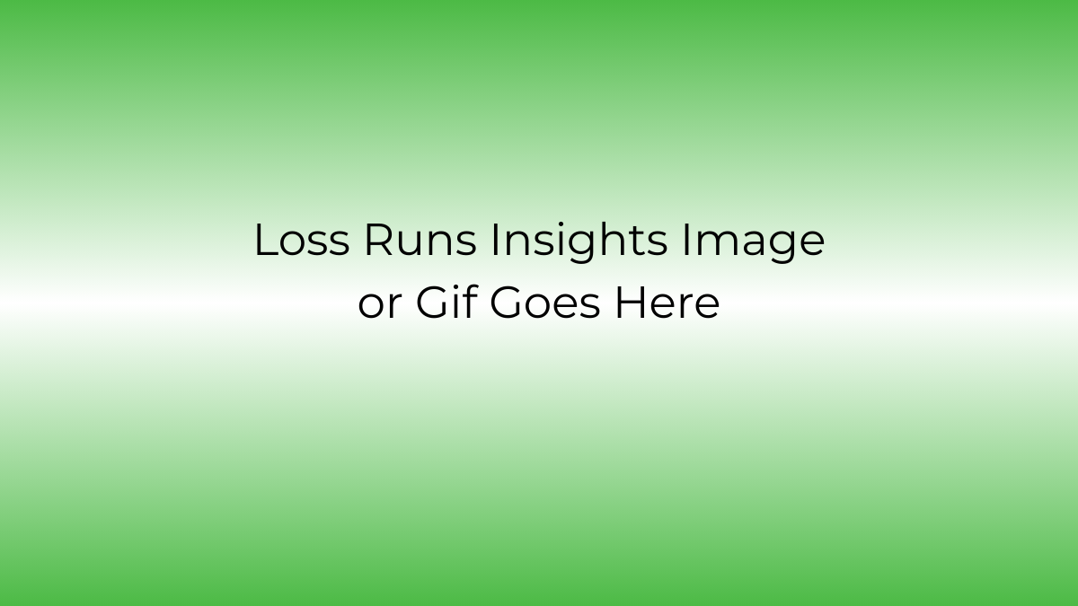 Loss Runs Insights Placeholder